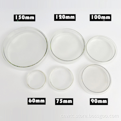 High Boro3.3 Glass Petri Dish Sizes: 60mm, 90mm, 100mm, 120mm, 150mm - Laboratory Disposables Glassware Collection